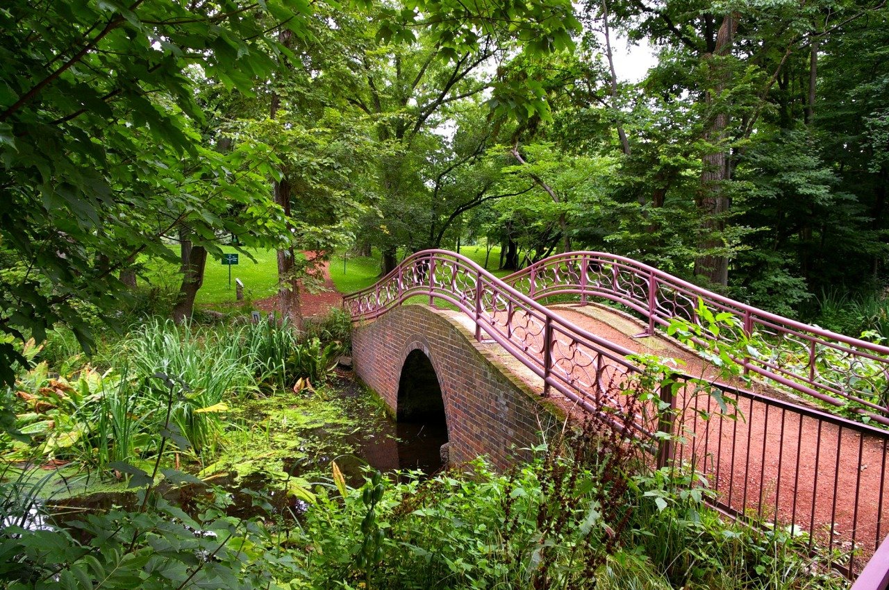 🌿 홋카이도대학 식물원(홋카이도 다이가쿠 쇼쿠부츠엔) 이미지 1
